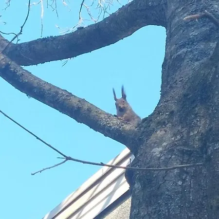 Peaceful And Furnished 80m2 3-room With Free Parking * Turku